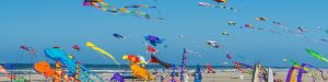 Kites flying on a Goan beach